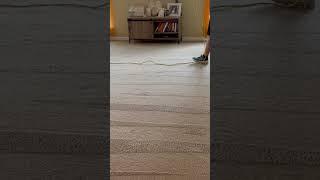 Carpet cleaning in Phenix City, AL #jetstreamclean #jetstreamclean #jetstreamclean