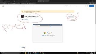 NACL Web Plug-in dahua easy fix