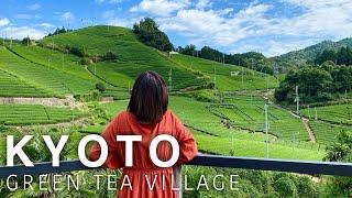 KYOTO Uji green tea village "WAZUKA" Japan Travel Vlog