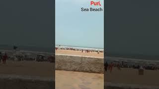 Sea_Beach #puri #odisha #shorts #youtubeshorts #travelspot #seabeach #travel #india #incredible