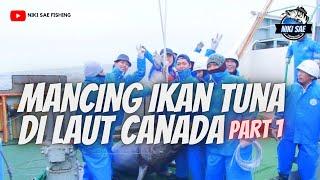 MANCING IKAN TUNA DI LAUT CANADA - NIKI sae FISHING