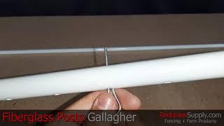 Gallagher 3/8'' and 7/8" Fiberglass Posts at RedstoneSupply.com