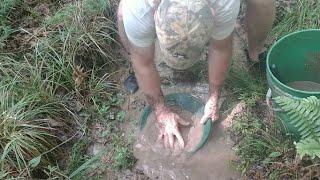 Gold Panning North Carolina