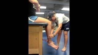 Lower Extremity Reflexes