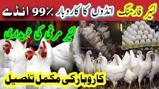 Layer Hen Farming in Pakistan || Complete Detail of Layer Business Profit