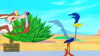 Looney Tunes | Fast and Furry-ous | 1949 Full Episode | Warner Classics