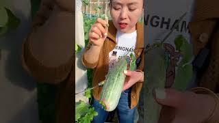 Beautiful Nature - Inspur Fresh Fruit wonderful video of Industry #8537