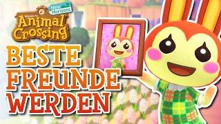 Freundschaft ERHÖHEN und BILDER bekommen! (Freundschaftsguide) | Animal Crossing New HorizonsGuide