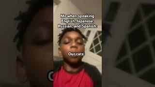 When I speak my languages vs the Cat language   #cats #japan #english ツ