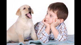 BEST PUPPY EARLY LEARNING TIPS