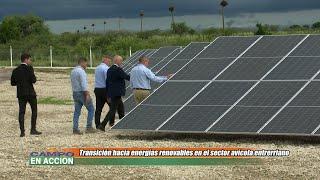 Energia Solar - Sustentabilidad en Avícultura -  Matías Ruiz