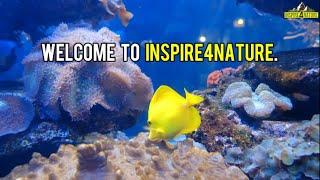 Welcome to inspire4nature #nature