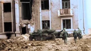 Battle of Stalingrad (German perspective)