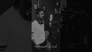 ️ #Thaniyen #Aye #chathura #madushan #cover