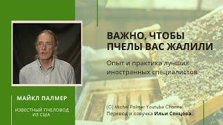 Почему важно, чтобы пчелы вас жалили? (Майкл Палмер, США)