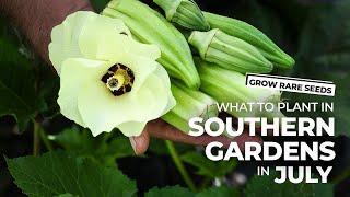 GROW RARE SEEDS | What To Plant In Southern Gardens In July