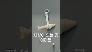 액막이 명태 선물세트! 개업, 집들이 선물로 추천해유