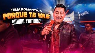 Tema Estreno - Porque Te Vas - Sonido Famoso En Santa Ana chiautempan 2024