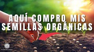 Donde Comprar Las Mejores Semillas Orgánicas Para Tu Huerta En Casa 