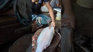 Amazing Bhetki Fish Cutting Skills In Bangladesh Fish Market By Expert Cutter #shorts