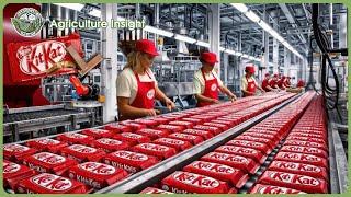 How KitKat Are Made at Nestlé | Insane Chocolate Factory