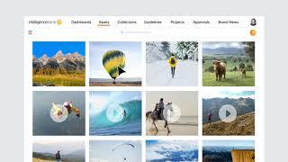 What is Enterprise Digital Asset Management Software?