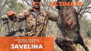 ULTIMATE JAVELINA HUNTING | 2020 | ARIZONA OPPORTUNITY HUNT | ATO #9