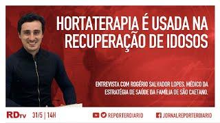 Hortaterapia é usada na recuperação de idosos