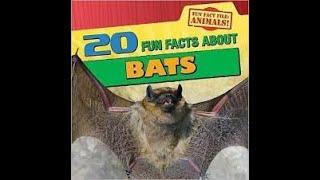 20 Fun Facts About Bats