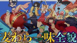 【ONE PIECE 100巻記念】｢麦わらの一味｣の全貌！！最強10人の過去&秘話を徹底解説！！※ネタバレ注意