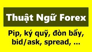 Những Thuật Ngữ, Khái Niệm cơ bản trong Giao Dịch Forex (Pip, Margin, Leverage, Bid, Ask, Spread...)