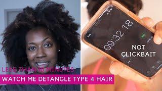 DEMO: Watch Me Detangle My Natural Hair In LESS THAN 10 MINUTES