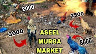 Biggest Aseel murga market || Erode Roosters Sevals market ||