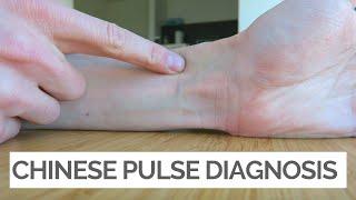 Chinese Pulse Diagnosis: A Beginner's Guide