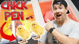 Easy to Build Chick Pen Brooder Box For Baby Chickens How to Video