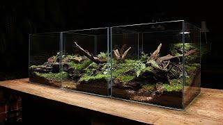 Build a 3-piece 45-cube Moss terrarium | 3개의 조각, 45큐브 이끼 테라리움 만들기