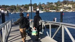 Gymea Bay, Yowie bay and woolloomooloo Fun Fishing