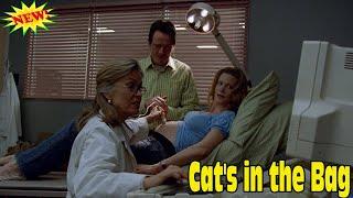 Breaking Bad 2008 Season 1 - Episodes 2 | Cat's in the Bag Full Episodes HD