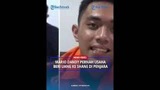TERBONGKAR, Mario Pernah Coba Beri Uang dan Handphone ke Shane di Penjara