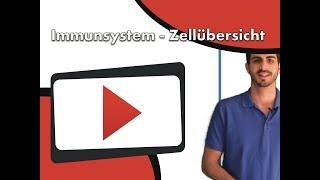 Immunsystem - Zellübersicht clipdocs.de