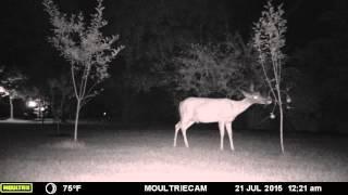 Wireless Deer Fence ® Scares Deer from Apple Trees