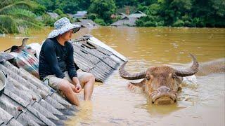 Devastating Floods in Vietnam's Northwest - SAPA TV's Aid to Help Families Rebuild | SAPA TV