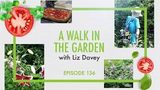 A Walk In The Garden with Liz Davey - Episode 136