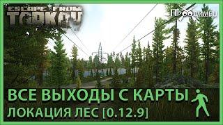 Все выходы с карты | Локация Лес | Escape from Tarkov