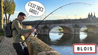 Je pars à la recherche des MONSTRES de LOIRE en STREET-FISHING ! (Zap de pêche #21)