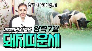 (돼지띠운세)(부천점집)27세,39세,51세,63세,75세 보세요~신점으로 보는 2021년 신축년 양력 7월 돼지띠운세!남 도와주다가 손해볼 일이 있어!! (용한무당)(별신당)