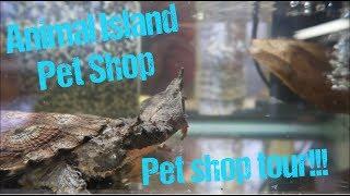 Animal Island Pet Shop: Pet Store Tour!