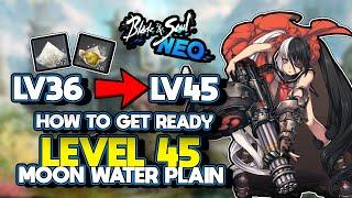 HOW to prepare for LV 45 PATCH (moonwater plain) in Blade and soul NEO