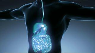 Gastrointestinal Disorders: Signs, symptoms and illnesses | HOUSTON LIFE | KPRC 2