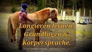 Longieren lernen: Grundlagen & Körpersprache.